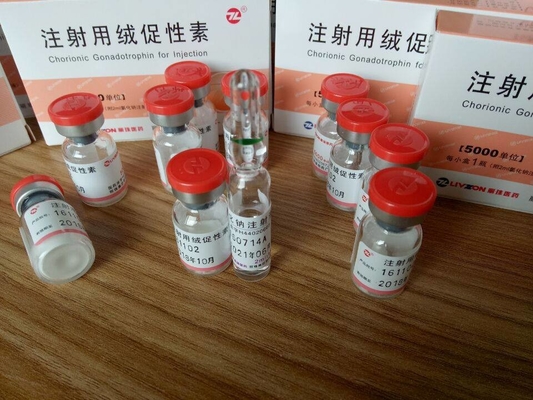 Polvo inyectable coriónico 5000iu de la pérdida de peso de los frascos de la gonadotropina de la fuente el 99% CAS 9002-61-3 de la fábrica de China para la inyección