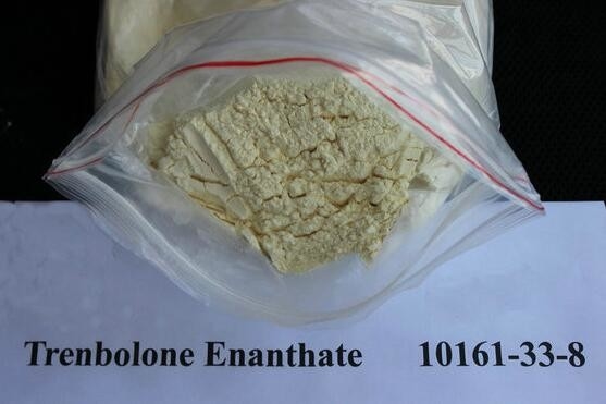 Polvo esteroide amarillo Trenbolone Enanthate/acetato para el levantamiento de pesas con el envío CAS NO.10161-33-8 de la seguridad